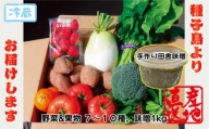 種子島 発！旬の 野菜 と 果物 と 手作り田舎味噌 セット　NFN564 【400pt】