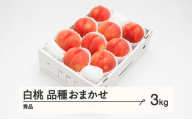 《先行予約》2024年 山形県産 もも 白桃 秀品 品種おまかせ 化粧箱入り 約3kg  令和6年産 ns-mohtx3