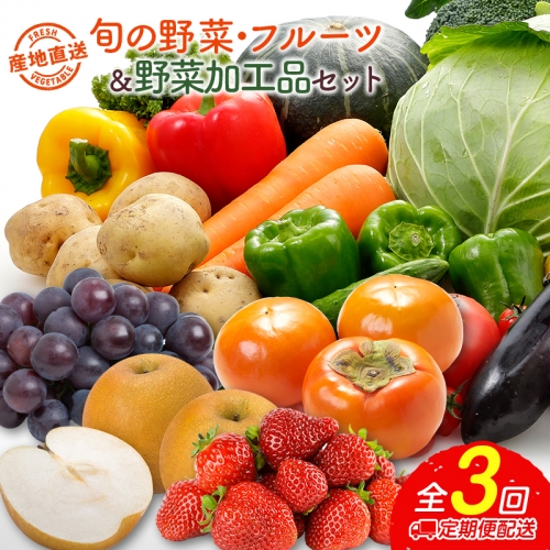 産地直送！旬の野菜・フルーツ＆野菜加工品 セット 3か月定期便 おまかせ 詰合せ 宮崎県新富町産【E215】 1355475 - 宮崎県新富町