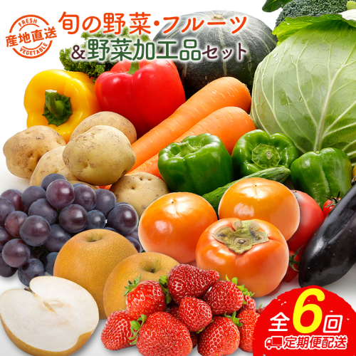 産地直送！旬の野菜・フルーツ＆野菜加工品 セット 全6回 隔月定期便 2か月に1回お届け おまかせ 詰合せ 宮崎県新富町産【F138】 1355476 - 宮崎県新富町