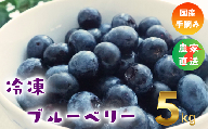 【千葉県のあま～い恵み】小分けパックの冷凍ブルーベリー 5kg(500g×10袋)