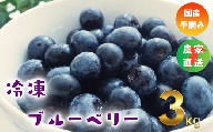 【千葉県のあま～い恵み】小分けパックの冷凍ブルーベリー 3kg(500g×6袋)