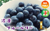 【千葉県のあま～い恵み】小分けパックの冷凍ブルーベリー 1kg(500g×2袋)