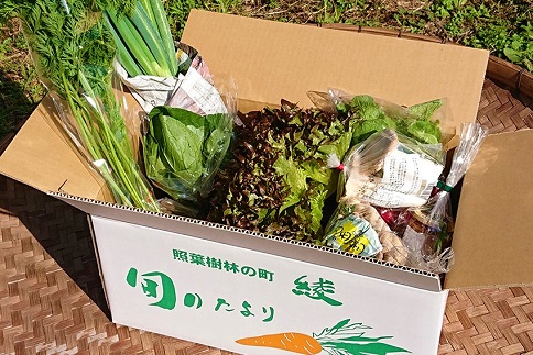 05-04_こだわり農家の野菜＆ジャムセット 13556 - 宮崎県綾町