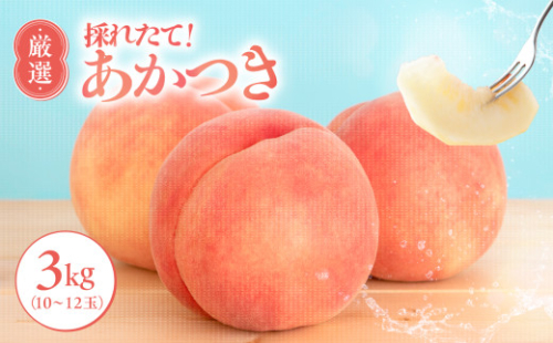 【7月下旬より順次発送】南信州産「桃」あかつき 約3kg 10~12玉 | 果物 くだもの フルーツ 桃 あかつき モモ もも 長野県 信州 南信州 飯田市