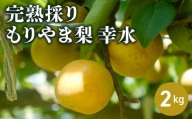完熟採り　もりやま梨　幸水　２キロ【8月中旬お届け】
