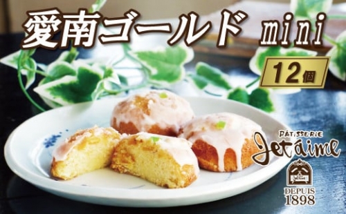 愛南ゴールド mini 12個 セット 10000円 菓子 スイーツ ケーキ 焼き菓子 1356367 - 愛媛県愛南町