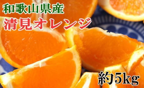和歌山県産清見オレンジ約5kg(サイズ混合) ※2025年3月中旬～4月上旬頃に順次発送予定 1356858 - 和歌山県美浜町