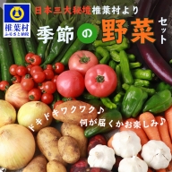 【先行受付】日本三大秘境 椎葉村産の季節野菜セット【2024年7月～8月配送】