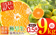 訳あり 熊本県産 温州みかん 極早生 約 9kg +約 0.5kg (補償分）| フルーツ 果物 くだもの 柑橘 柑橘類 みかん ミカン 蜜柑 ご家庭用 熊本県 玉名市