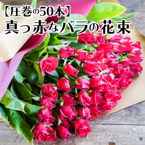 【圧巻の50本】真っ赤なバラの花束　H092-048 135742 - 愛知県碧南市