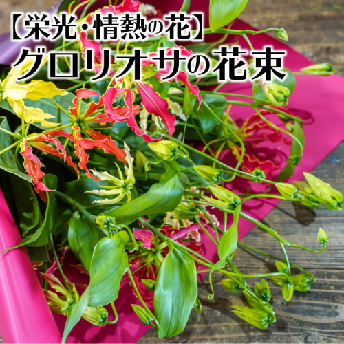 【栄光・情熱の花】グロリオサの花束　H092-047 135743 - 愛知県碧南市