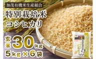 【2024年先行予約】【令和6年産新米】新潟県加茂市産 特別栽培米コシヒカリ 玄米30kg（5kg×6） 従来品種コシヒカリ 加茂有機米生産組合