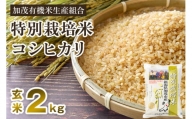 【2024年先行予約】【令和6年産新米】新潟県加茂市産 特別栽培米コシヒカリ 玄米2kg 従来品種コシヒカリ 加茂有機米生産組合