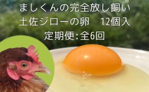 定期便：土佐ジローの卵（12個入り×6回）【CG-2】 135776 - 高知県土佐清水市