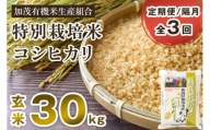 【定期便3回隔月お届け】新潟県加茂市産 特別栽培米コシヒカリ 玄米30kg（5kg×6） 従来品種コシヒカリ 加茂有機米生産組合