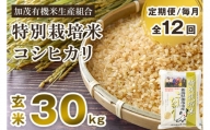 【定期便12ヶ月毎月お届け】新潟県加茂市産 特別栽培米コシヒカリ 玄米30kg（5kg×6） 従来品種コシヒカリ 加茂有機米生産組合