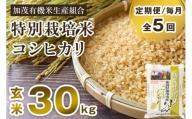 【定期便5ヶ月毎月お届け】新潟県加茂市産 特別栽培米コシヒカリ 玄米30kg（5kg×6） 従来品種コシヒカリ 加茂有機米生産組合