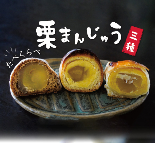 栗ざんまい！栗まんじゅう３種類食べ比べセット　H149-012 135791 - 愛知県碧南市