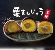 栗ざんまい！栗まんじゅう３種類食べ比べセット　H149-012