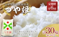 【定期便6回】 山形県産特別栽培米 つや姫 5kg（精米）×6か月 計30kg F2Y-3898
