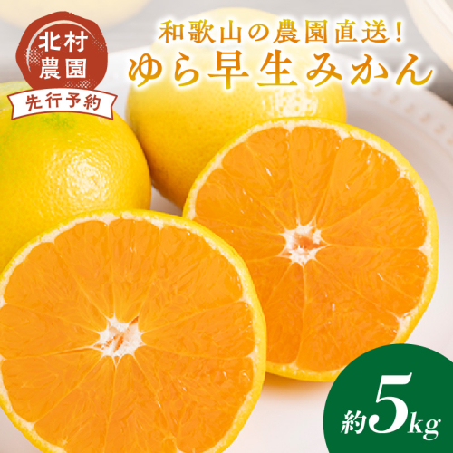 和歌山の農園直送！北村農園のゆら早生みかん5kg《先行予約》 135832 - 和歌山県御坊市