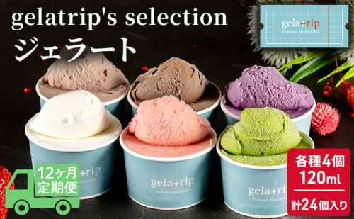 ≪12ヵ月定期便≫gelatrip's selection ジェラート24個BOX 1358363 - 北海道上富良野町