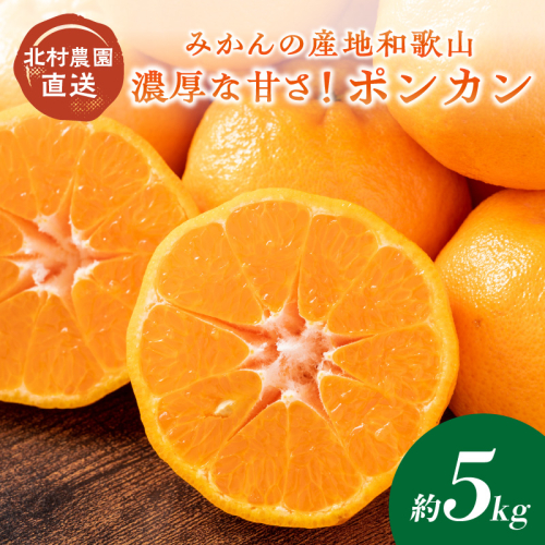 濃厚な甘さ!ポンカン5kg みかんの産地和歌山の農園直送《先行予約》 135838 - 和歌山県御坊市