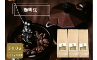 【コーヒー豆】モカイルガチェフ、ケニアサファリ、バリアラビカ神の山　各100g