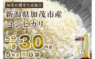 【2024年先行予約】【令和6年産新米】【5分づき】新潟県加茂市産 特別栽培米コシヒカリ 精米 30kg（5kg×6）  従来品種コシヒカリ 加茂有機米生産組合
