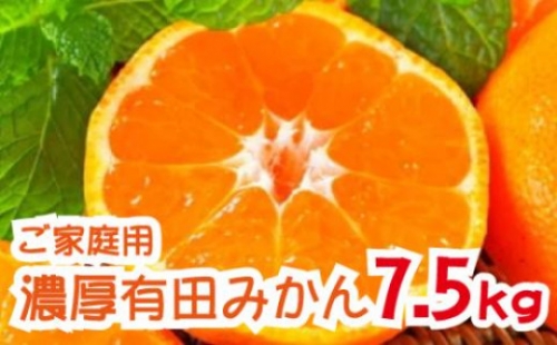 【先行予約】【2024年11月発送】農園直送！完熟有田みかん 約7.5kg 予約 和歌山 有田みかん みかん【11月発送】 1358671 - 和歌山県新宮市