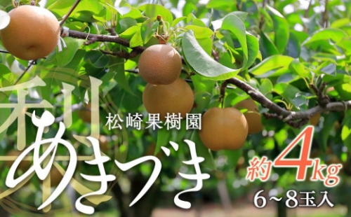 梨「あきづき」約4kg（6～8玉入）【松崎果樹園】 1358686 - 宮城県角田市