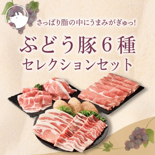 綾ぶどう豚セレクション6種セット1.7kg 小分け（22-33） 13589 - 宮崎県綾町