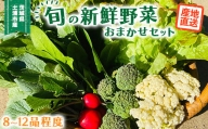 旬の新鮮野菜おまかせセット（8～12品程度）