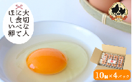 大切な人に食べてほしい卵 10個入×4パック【冷蔵配送】 / 田辺市 卵 たまご 鶏卵 平飼い お取り寄せ 卵かけごはん 和歌山県