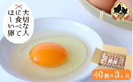 【3カ月定期便】大切な人に食べてほしい卵　40個×3回【冷蔵配送】 / 田辺市 卵 たまご 鶏卵 平飼い お取り寄せ 卵かけごはん 和歌山県