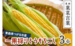 &starf;&starf;R7年産 期間限定・数量限定&starf;&starf;【発送期間】令和7年7月下旬から8月上旬まで順次発送※天候や収穫状況によって発送期間