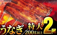うなぎ蒲焼き 400g (200g×2尾)