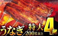 うなぎ蒲焼き 800g (200g×4尾)
