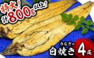 うなぎ白焼き 800g (200g×4尾)