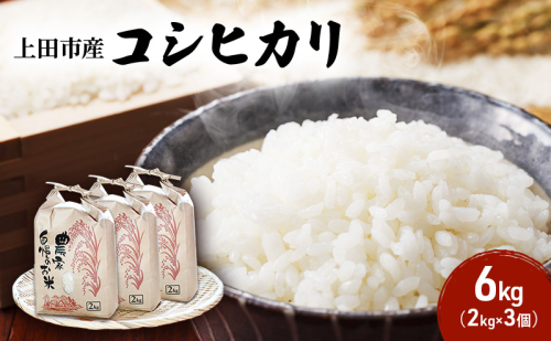 米 令和7年産 長野 コシヒカリ 6kg （2kg×3個） 小分け お米 こめ コメ おこめ 白米 精米 こしひかり 信州 長野県 上田市 上田 1359683 - 長野県上田市