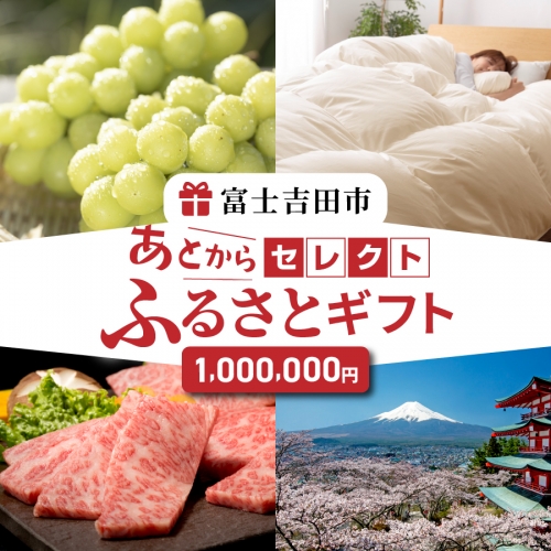 あとからセレクト【ふるさとギフト】１００万円 1359792 - 山梨県富士吉田市