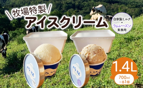 ミタアイス業務用2個入りセット アイス 三田牧場 1.4L 自家製ミルク 1個＋ラムレーズン 1個 1359835 - 北海道共和町