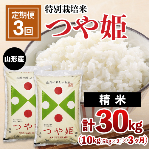 【定期便3回】山形産 特別栽培米 つや姫 10kg(5kg×2)×3ヶ月(計30kg) FZ23-796 136009 - 山形県山形市