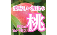 美味しい坂出の桃　約2kg（6～7個）