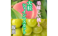 【定期便2回】美味しい桃(約2kg)と大粒シャインマスカット（約2kg）