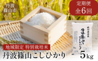 【定期便】※令和6年新米予約※特Aランク特別栽培米　コシヒカリ　5kg（全6回）　