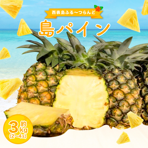 2026年 先行予約 島パイン (ハワイ種) 約3kg 2〜4玉 パイナップルの王道 西表島産 パイン 果物 フルーツ 026-a015_2026 1360239 - 沖縄県竹富町