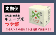 【5ヶ月連続定期便】山形産無洗米キューブ米 つや姫(300g×20個)×5回 FY20-387