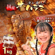 国産 特製たれ漬 牛ハラミ サガリ1kg JX003-4